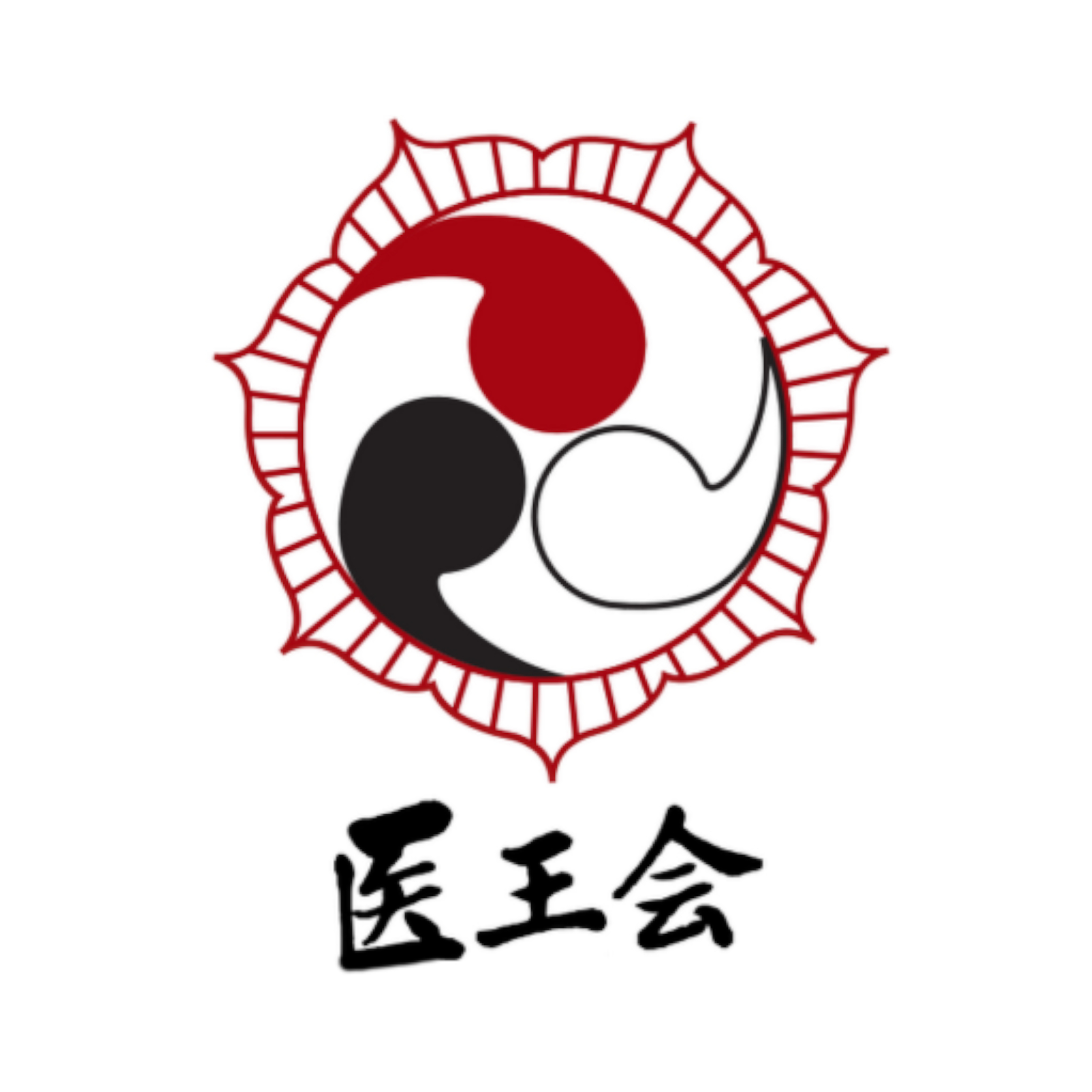 Iokai logo